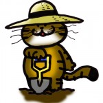 大収穫